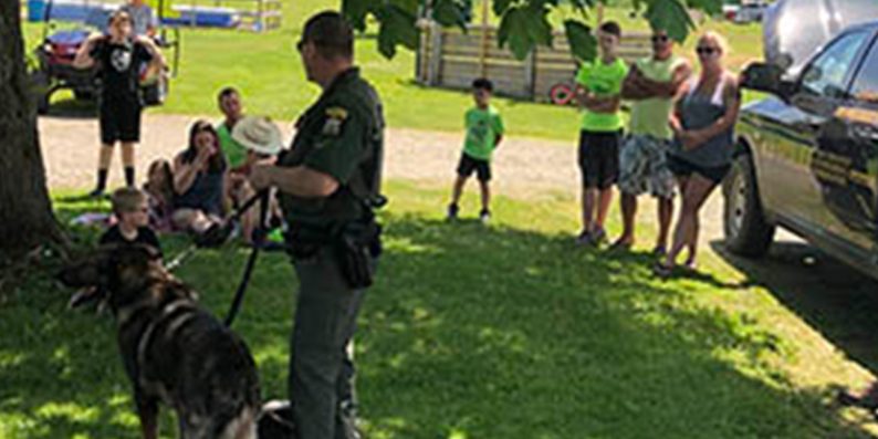 area-attractiopns Top 5 Fun Activities for Kids at Beaver Meadow Family Campground