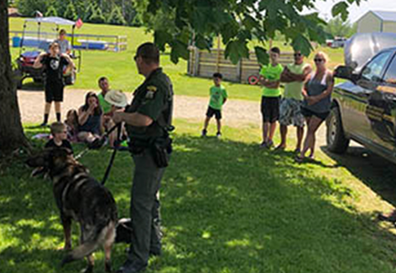 area-attractiopns Top 5 Fun Activities for Kids at Beaver Meadow Family Campground
