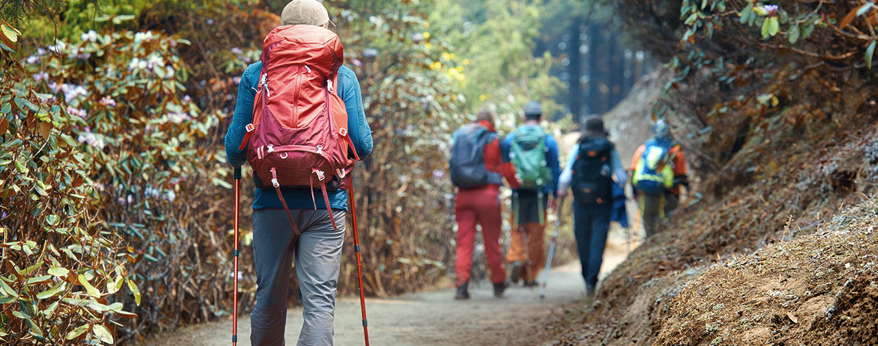Hiking near Beaver Meadow Family Campground