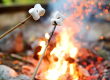 cooking smores over a campfire