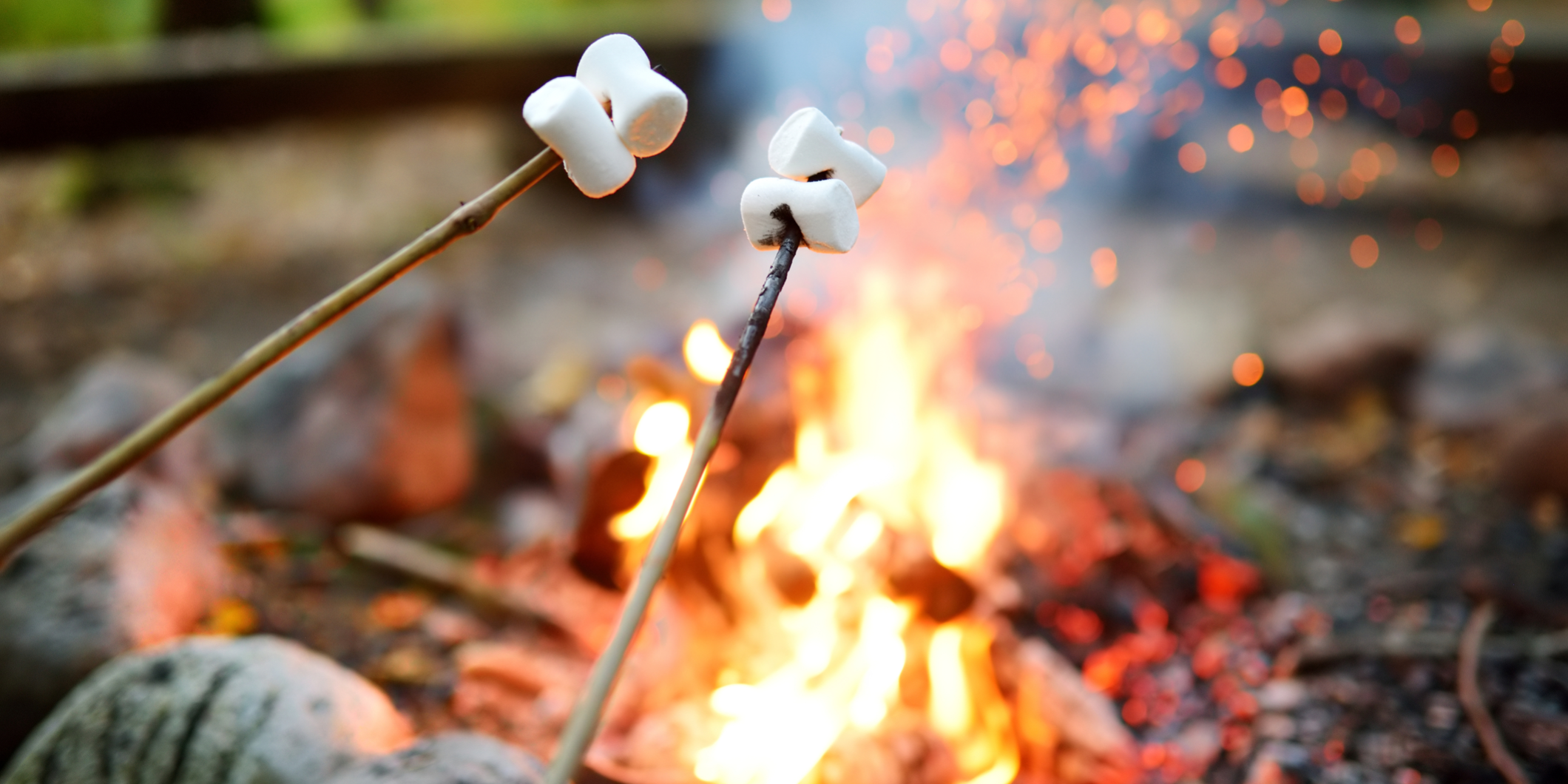 smores, campfire cooking smores over a campfire