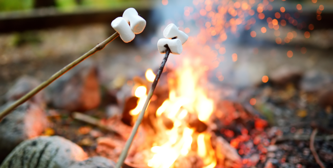 smores, campfire cooking smores over a campfire